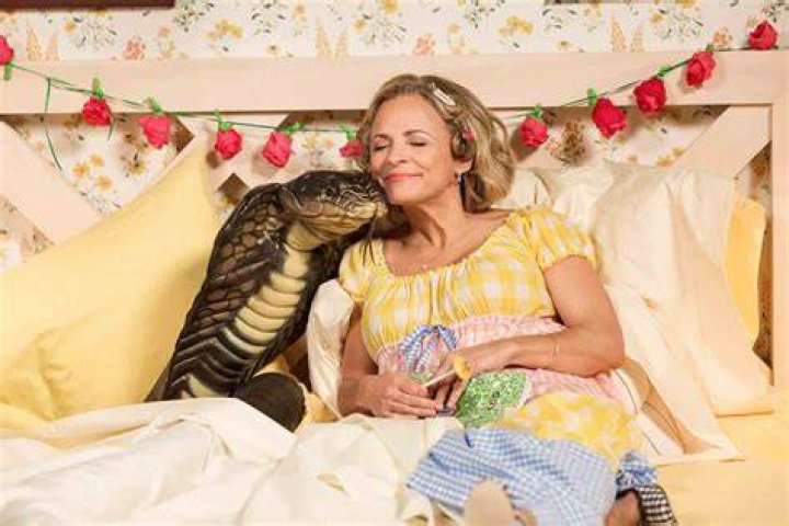 Amy Sedaris Net Worth