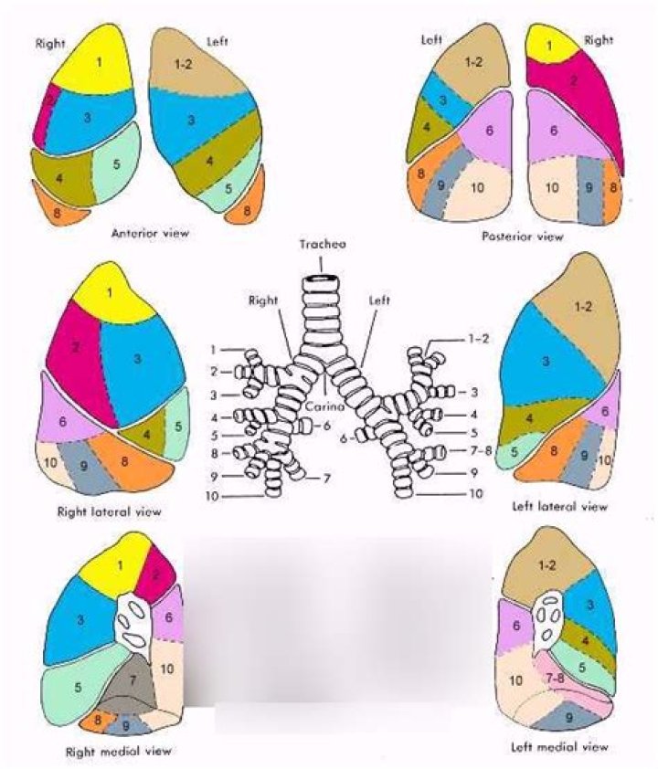 Herself (segments