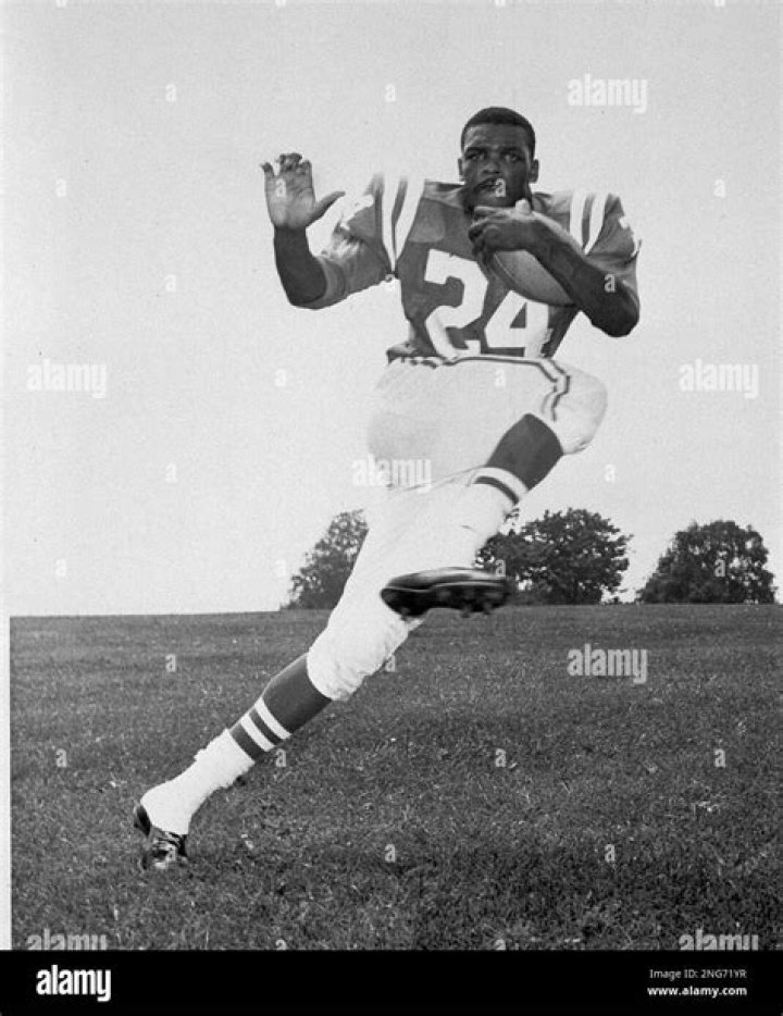 Himself - Baltimore Colts Halfback / Himself - Baltimore Colts Flanker / Himself - Color Commentator / Flanker