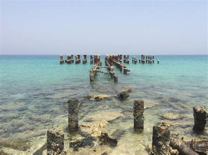 Kish
