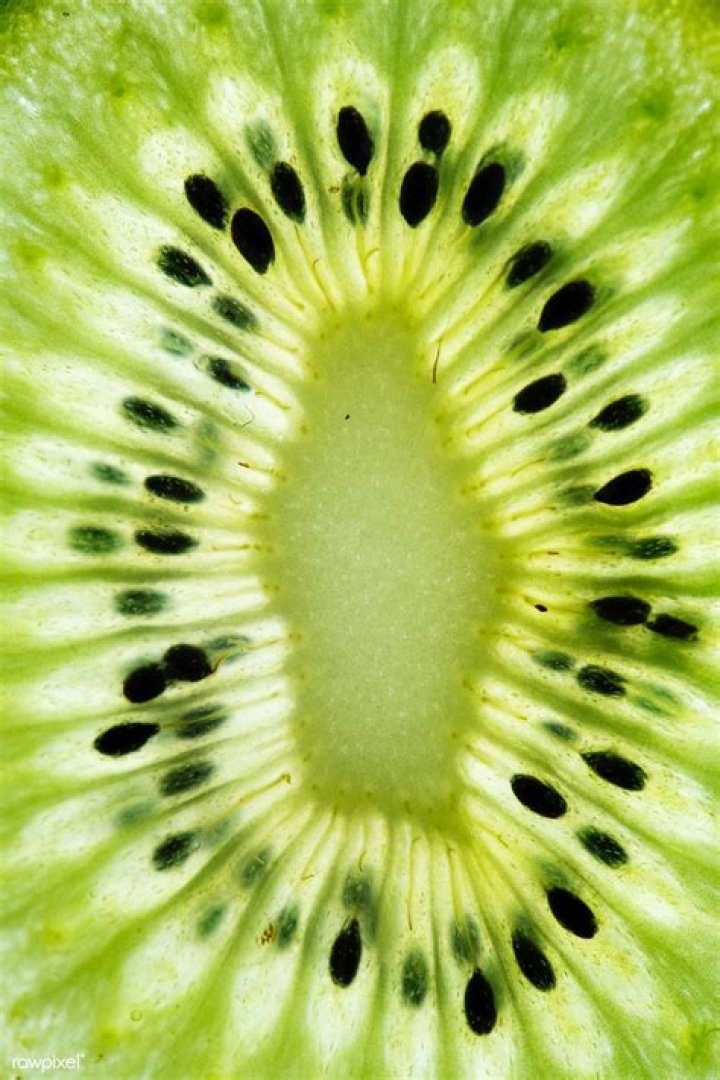 Kiwi