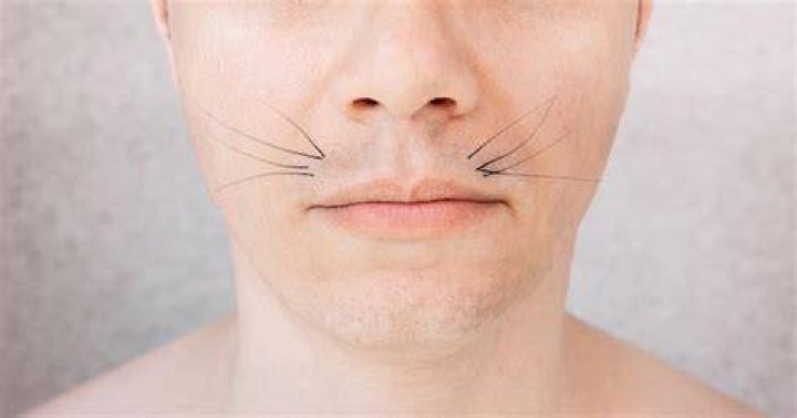 Man With Whiskers