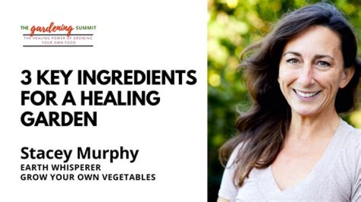 Stacey Murphy